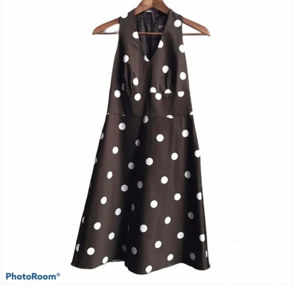 Ann Taylor Fit & Flare Polka Dot Dress